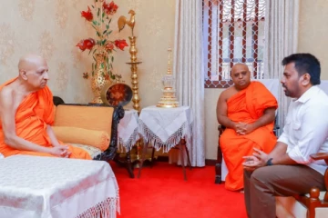 ஜனாதிபதி அனுரகுமார - மல்வத்து மகாநாயக தேரர் சந்திப்பு