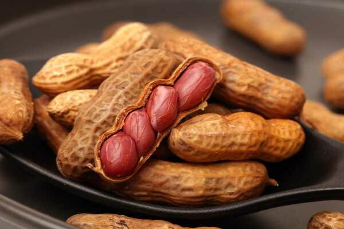 பச்சை வேர்க்கடலை சாப்பிடுவதால் கிடைக்கும் நன்மைகள் என்ன? | What Are The Benefits Of Eating Raw Peanuts