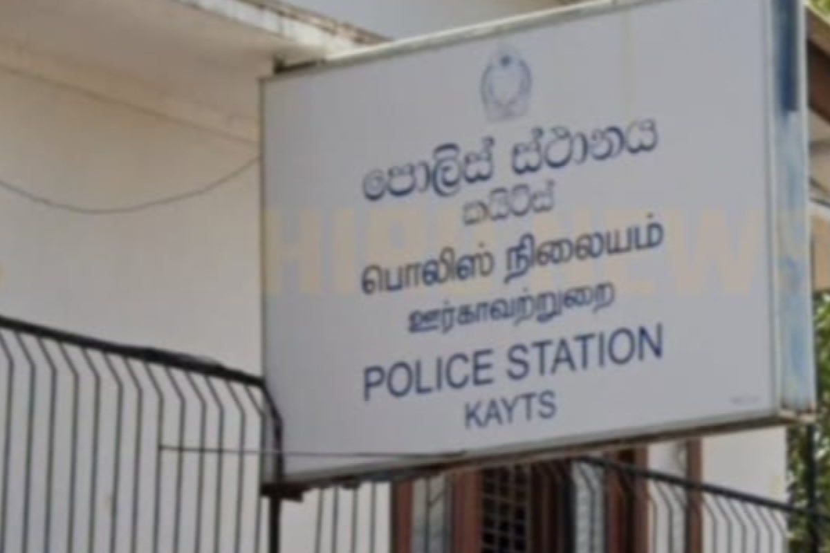 வேலணையை அச்சுறுத்திய மாட்டு திருட்டுக் கும்பல் கூண்டோடு கைது | Cow Theft Gang That Threatened Velanai Arrested வேலணையை அச்சுறுத்திய மாட்டு திருட்டுக் கும்பல் கூண்டோடு கைது | Cow Theft Gang That Threatened Velanai Arrested