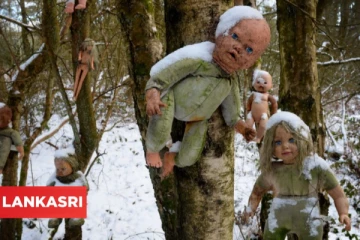 காட்டில் ஆணி அடிக்கப்பட்டு தொங்கும் பொம்மைக் குழந்தைகள்! திகிலூட்டும் புதிய மர்மம்: பீதியில் மக்கள்