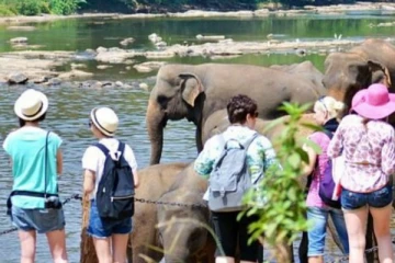 இலங்கைக்கு  சுற்றுலா வந்த ரஷ்ய பெண்ணுக்கு நேர்ந்த துயரம்