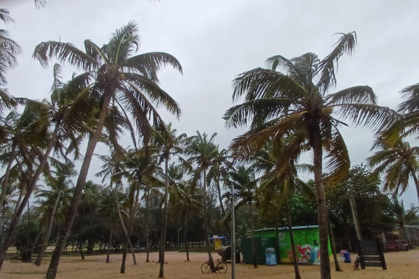 பலத்த காற்று மழை காரணமாக மக்களின் இயல்பு வாழ்க்கை பெரிதும் பாதிப்பு | People S Normal Lives Are Greatly Affected