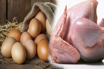 முட்டை மற்றும் கோழி இறைச்சியை இறக்குமதி செய்ய முயற்சி