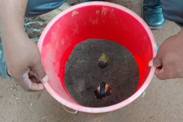 ஐஸ்கிரீம் பந்தில் வைக்கப்பட்ட வெடிகுண்டு - எடுத்து விளையாடிய சிறுவனுக்கு நிகழ்ந்த விபரீத முடிவு