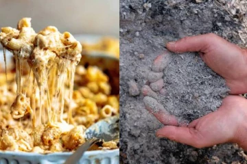 பாஸ்தாவில் பாட்டியின் சாம்பலை கலந்து குடும்பத்திற்கு கொடுத்த பெண் - பகீர் சம்பவம்!