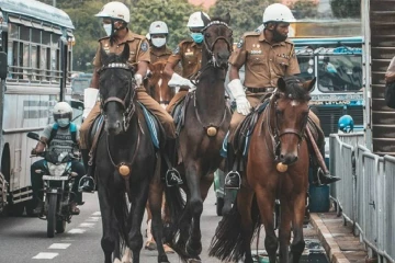 திடீரென கண்டிக்கு கொண்டு செல்லப்பட்ட பொலிஸ் குதிரைகள்