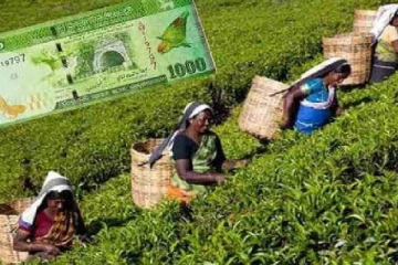 பெருந்தோட்ட தொழிலாளர்களுக்கு ஏப்ரல் முதல் 1000 ரூபா நாளாந்த வேதனமாக கிடைக்கும் - ரமேஷ் பத்திரன