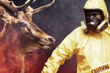 கனடாவில் மான்களை அச்சுறுத்தும் ஜாம்பி வைரஸ்: மனிதர்களுக்கும் பரவும் அபாயம்