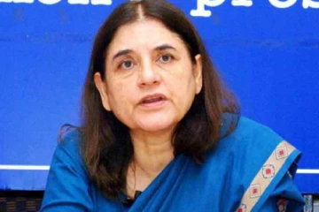 தேர்தல் பிரச்சாரத்தில் வழுக்கி விழுந்த மேனகா காந்தி: உபியில் பரபரப்பு