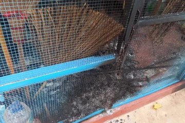 யாழ்ப்பாணத்தில் வர்த்தக நிலையம் தீக்கிரை