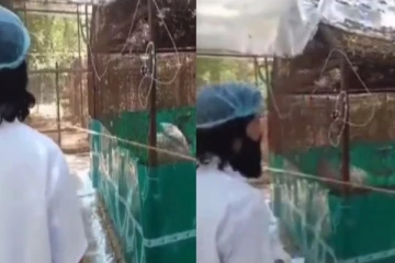 உயிரை காப்பாற்றிய நபரை பார்த்தும் பறவை செய்த செயல் - வைரலாகும் வீடியோ!