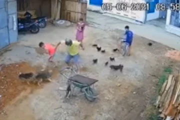 ஒருவரை மட்டும் குறி பார்த்து வெறியோடு கடிக்க முயன்ற நாய்கள் - பதற வைக்கும் அதிர்ச்சி வீடியோ