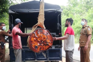 காட்டு பகுதியில் இடம்பெற்ற பாரிய எரிபொருள் மோசடி அம்பலம் (படங்கள்)