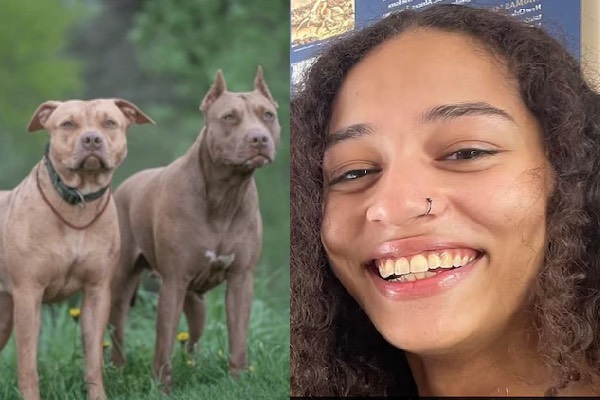 23 வயது கல்லூரி மாணவியை கடித்து கொன்ற 3 பிட்புல் நாய்கள்: நாயை சுட்டுக் கொன்ற அதிகாரி | Us College Student Killed By 3 Bit Bull Dog Attack 23 வயது கல்லூரி மாணவியை கடித்து கொன்ற 3 பிட்புல் நாய்கள்: நாயை சுட்டுக் கொன்ற அதிகாரி | Us College Student Killed By 3 Bit Bull Dog Attack