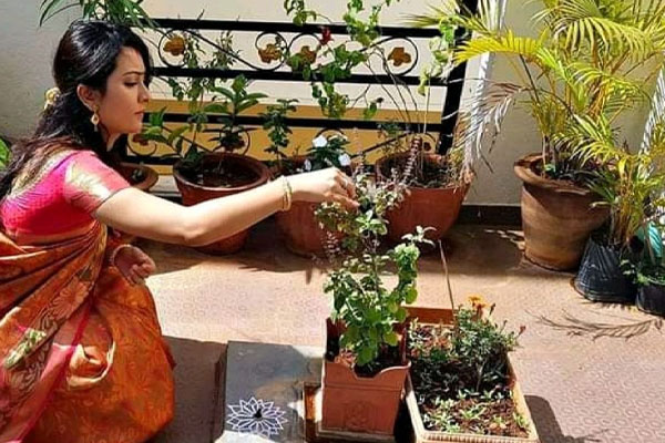 வேண்டிய வரன் கிட்டவும், கணவன் நீடுழி வாழவும் துளசி பூஜை | Tulsi Puja Fo Been Married For A Long Time