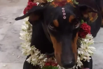 வளர்ப்பு நாய்க்கு வளைகாப்பு நடத்திய போலீஸ்காரர்