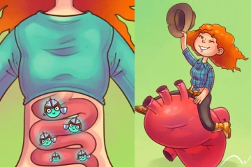 මස් මාංශ ආහාරයට ගැනීම නතර කළොත් සිදු වන දේ.