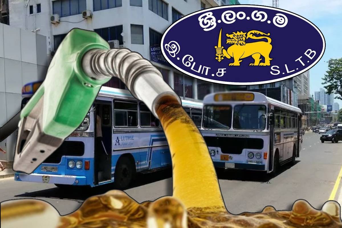 எரிபொருள் மோசடி : இலங்கை போக்குவரத்து சபையின் 7 உயர் அதிகாரிகள் பணி இடைநீக்கம் | 7 Sltb Officials Suspended Over Alleged Fuel Fraud