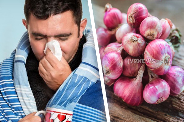 ஜலதோஷம் முதல் இதய நோய் வரை ...சின்ன வெங்காயத்தில் இவ்வளவு நன்மைகளா! | So Many Benefits In Shallots Life Sytle Health