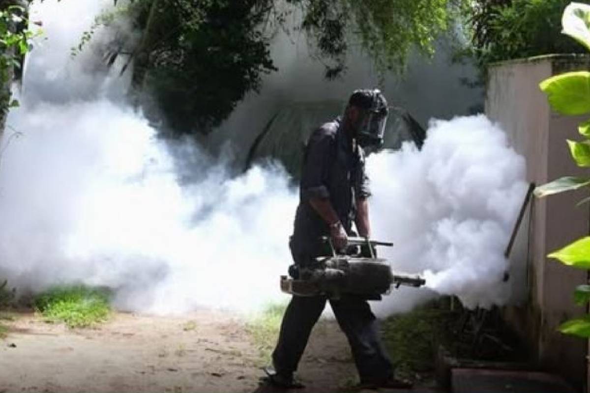 மேல் மாகாணத்தில் அதிகரிக்கும் டெங்கு அபாயம்! பொதுமக்களுக்கு டெங்கு விடுக்கப்பட்டுள்ள அவசர எச்சரிக்கை | Dengue Alert Issued In Western Province மேல் மாகாணத்தில் அதிகரிக்கும் டெங்கு அபாயம்! பொதுமக்களுக்கு டெங்கு விடுக்கப்பட்டுள்ள அவசர எச்சரிக்கை | Dengue Alert Issued In Western Province