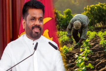 கடனில் சிக்கியுள்ள விவசாயிகளுக்கு அரசாங்கம் விசேட திட்டம்
