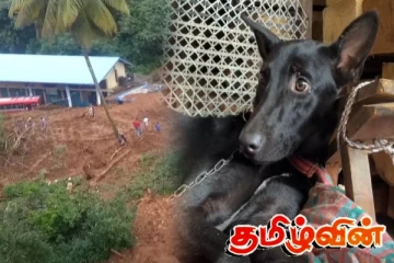 பேரிடரின் போது கிராமம் ஒன்றில் பலரின் உயிர்களை காப்பாற்றிய நாய் - நெகிழ்ச்சியான செயல்