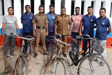 மாந்தை கிழக்கில் சைக்கிள் திருடர்கள் மூவர் கைது
