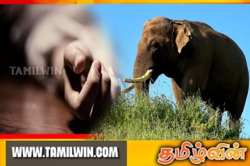 மஹியங்கனையில் காட்டு யானையின் தாக்குதலுக்கு இலக்காகி பெண்ணொருவர் உயிரிழப்பு