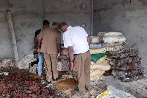யாழ். மக்களே அவதானம்: சிக்கிய மனிதப் பாவனைக்கு உதவாத பழப் புளி! | Attention Jaffna People Tamarind Not Suitable