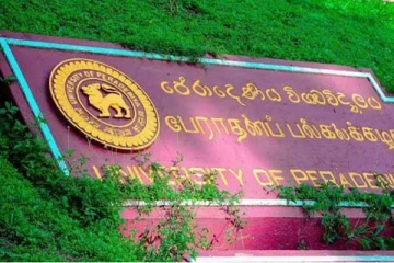பேராசிரியர்களின் வெளிநாட்டு மோகம் - பட்டதாரி மாணவர்களுக்கு ஏற்பட்டுள்ள சிக்கல்!