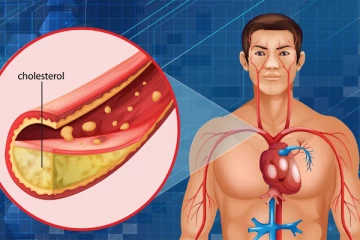 கொழுப்பு உண்மையிலேயே இதய ஆரோக்கியத்தை பாதிக்குமா?