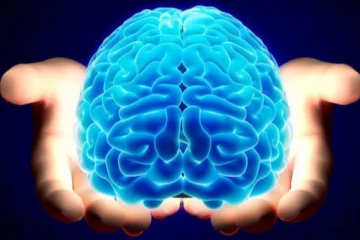 மூளையில் இருந்து மின்சாரம் உற்பத்தியாகுமா? எவ்வாளவு தெரியுமா? ஷாக்காகிடாதீங்க...!