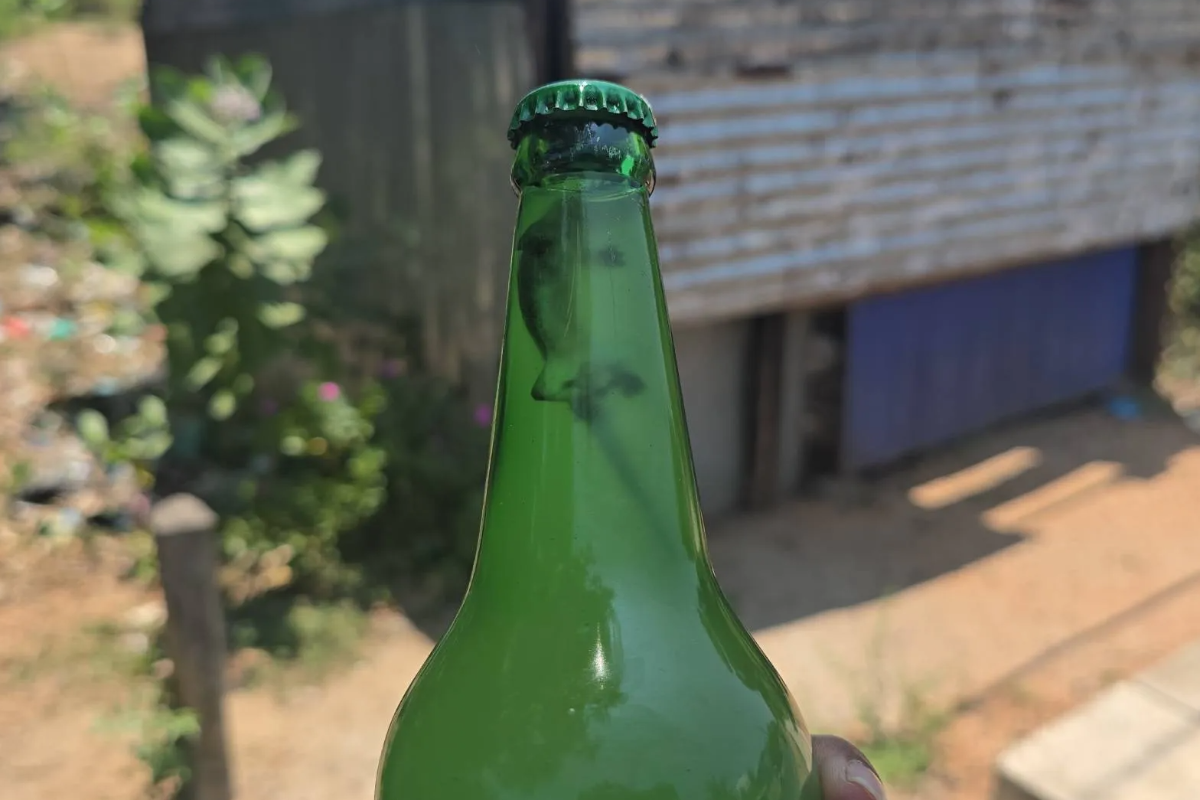 தமிழர் பகுதியொன்றில் பனங்கள்ளுக்குள் கிடந்த பல்லி | Lizard Found Inside Drink In Tamil Area தமிழர் பகுதியொன்றில் பனங்கள்ளுக்குள் கிடந்த பல்லி | Lizard Found Inside Drink In Tamil Area