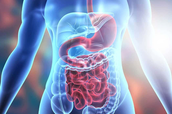 மாம்பழம் சாப்பிடும் போது செய்யக்கூடாத தவறுகள்! பயங்கர பக்கவிளைவு ஏற்படுமாம் | Mango Benefits In Tamil