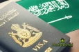 சவூதி அரேபியாவில் அனைத்து வகை விசா வைத்திருப்போருக்கும் உம்ரா அனுமதி