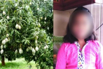 மாம்பழம் பறிக்க சென்ற 6 வயது சிறுமிக்கு நேர்ந்த கொடூரம்