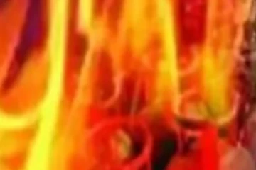 කර්මාන්තශාලාවක විශාල ගින්නක්