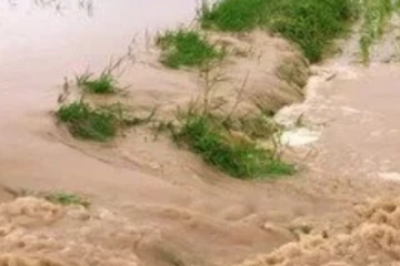 වැස්සෙන් අසරණ වූ ගොවීන්ට වන්දි