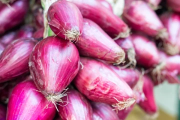 தினமும் சின்ன வெங்காயம் சாப்பிடலாமா? சாப்பிட்டால் என்ன நடக்கும் தெரியுமா?