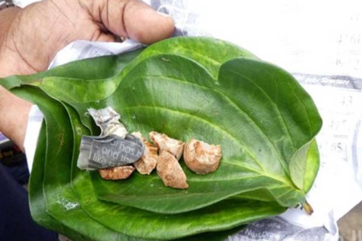 தமிழர் பகுதியில் வெற்றிலை மென்றவருக்கு காத்திருந்த பெரும் சிக்கல் ; விடுக்கப்பட்ட பகிரங்க எச்சரிக்கை | Betel Chewer Faces Unexpected Trouble