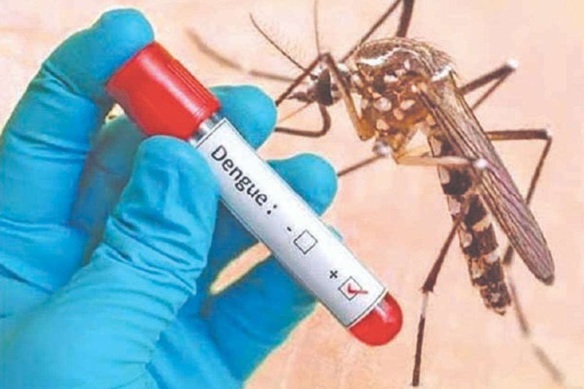 நாட்டில் டெங்கு நோயால் உயிரிழப்போர் எண்ணிக்கை 79 அதிகரிப்பு | Number Of Deaths Due Dengue Country Rises By 79