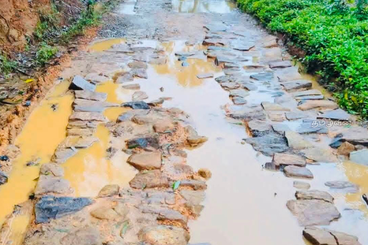 பாரிய குழிகளுடன் மோசமான நிலையில் ஹட்டன்–விக்டன் பாதை! பாதிக்கப்பட்டுள்ள 5,000 மக்கள் | Facing Various Difficulties Due Poor Condition