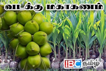 வடக்கில் 16 ஆயிரம் ஏக்கரில் பயிரிடப்படவுள்ள தென்னை : அமைச்சர் அறிவிப்பு