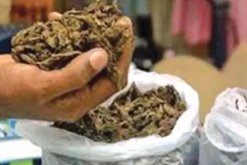 யாழ்ப்பாணத்திலிருந்து கடத்தல் ; புதைத்து வைக்கப்பட்டிருந்த 5 கிலோ கஞ்சா!