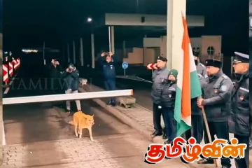 ருமேனிய- பல்கேரிய எல்லையை தாண்டிய முதலாவது பிரமுகரான தெரு நாய்