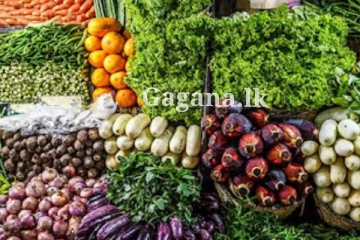 පොකට් එකට දැනෙන්නම ද?.. එළවළු මිලට වුණ දෙය මෙන්න..