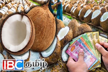 நாட்டில் மோசமடையும் தேங்காய் தட்டுப்பாடு - அரசிடம் விடுக்கப்பட்ட கோரிக்கை