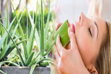 இரவில் கற்றாழை ஜெல்லை பயன்படுத்தினால் இவ்வளவு நன்மைகளா..!