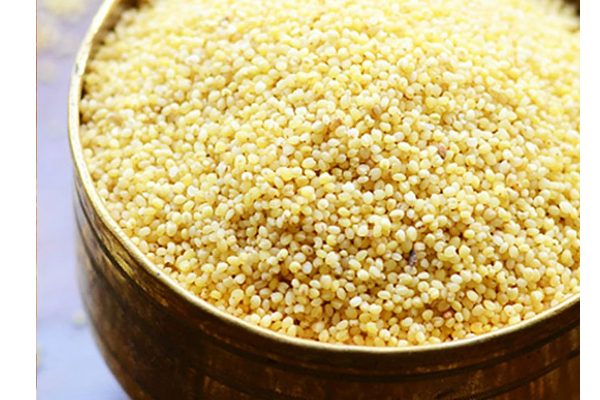 உயிரை பறிக்கும் மாரடைப்பை நெருங்க விடாமல் தடுக்க இந்த ஒரே ஒரு பொருளை சாப்பிட்டா போதுமாம்! | Foxtail Millet Kangni Protein Is Good For Heart