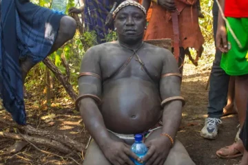 ரத்தம் குடித்து தொப்பையை வளர்க்கும் திருமணமாகாத ஆண்கள்.... ஏன் தெரியுமா?